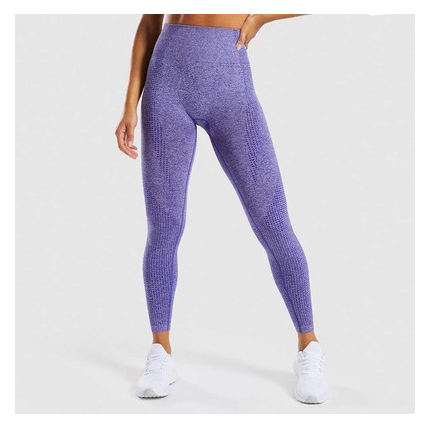 Fitness yoga leggings female seamless carry buttock of tall